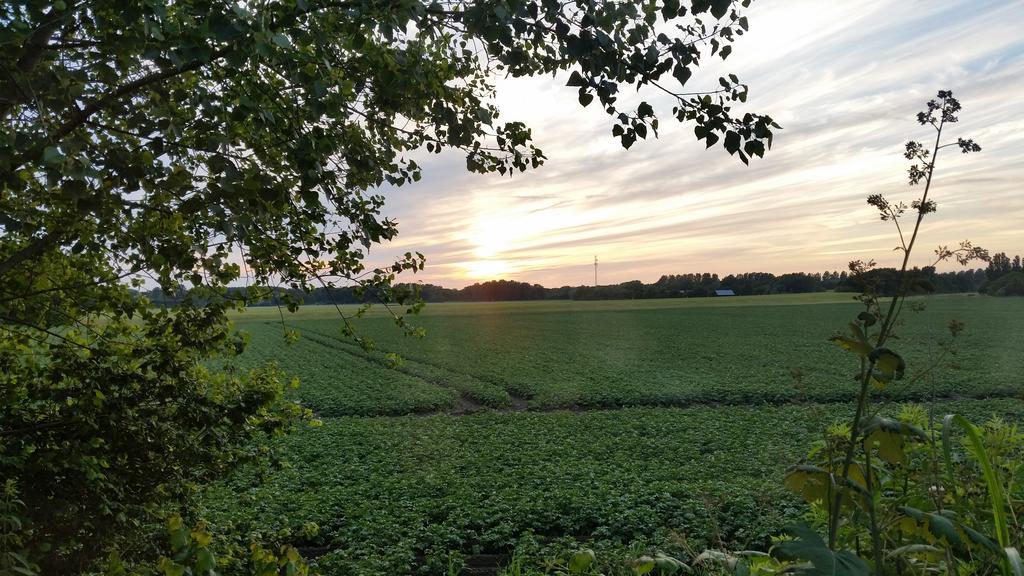 Gasthof Logement Hellevoetsluis 2*